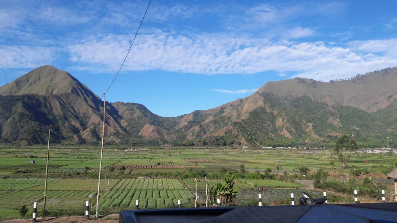 Rinjani Green Park Syariah Hotel Sembalunlawang Bagian luar foto