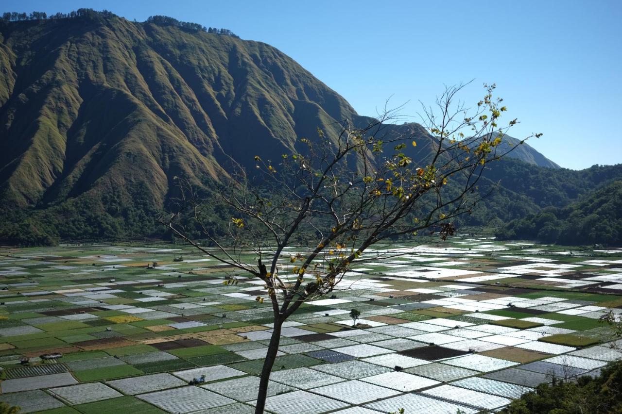 Rinjani Green Park Syariah Hotel Sembalunlawang Bagian luar foto